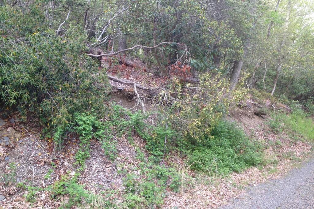 Fox Trot Cabin Meadows of Dan Exterior foto